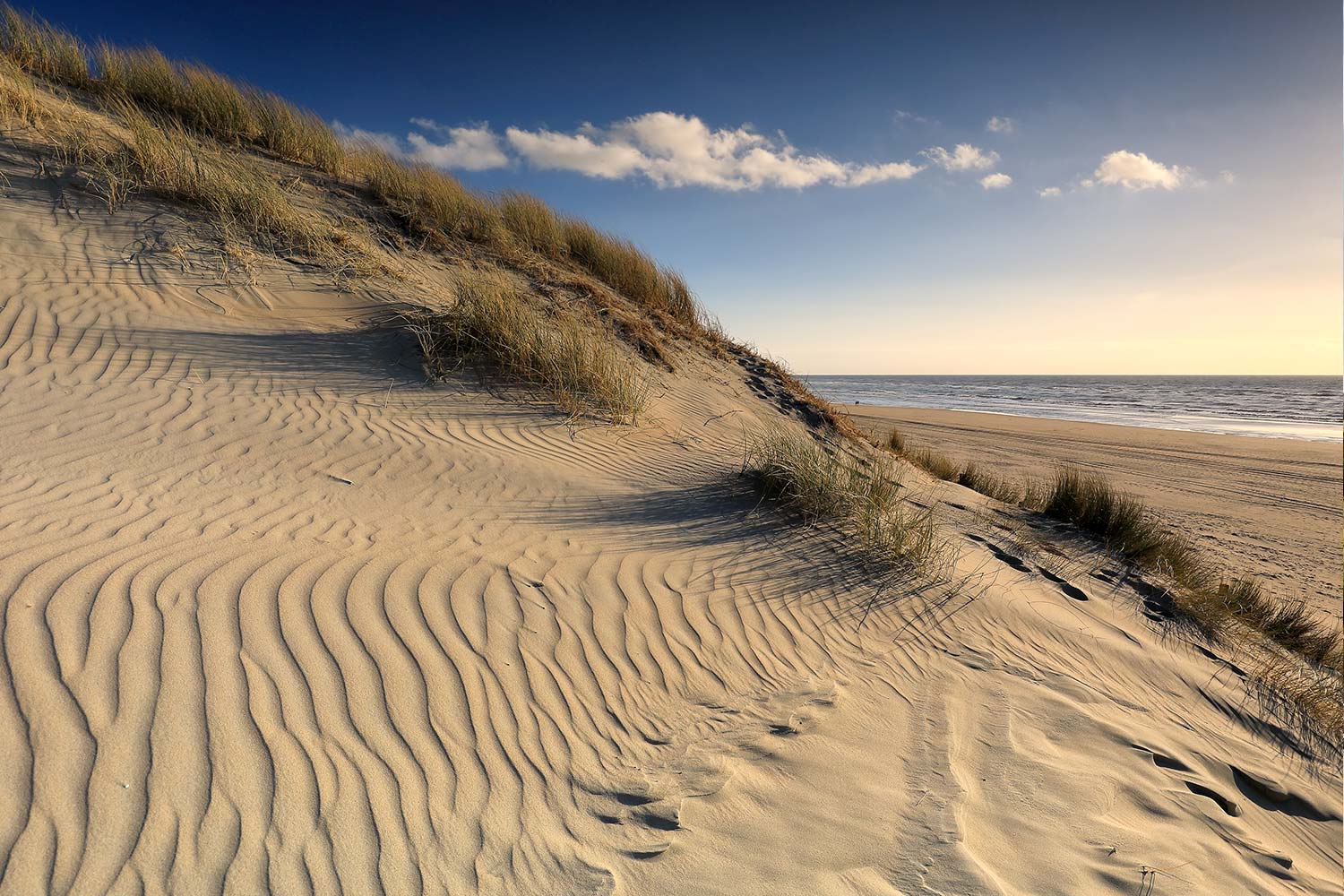 Arcachon østerssafari Rendez-vouz Frankrike